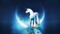 pic for Last Unicorn 